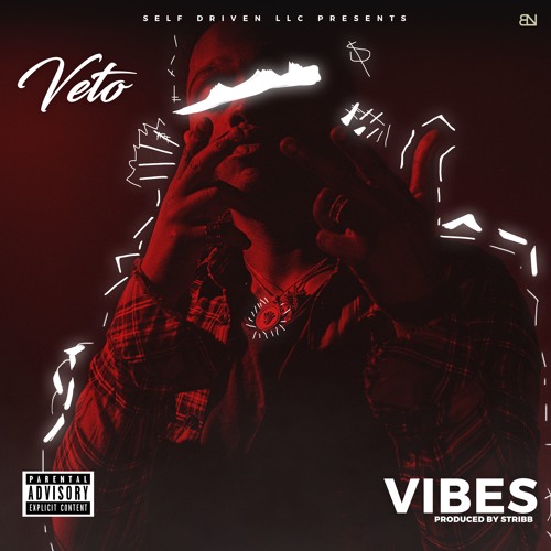 Veto- New Music Vibes